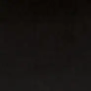 Palazzo Velvet (CA1175-099)